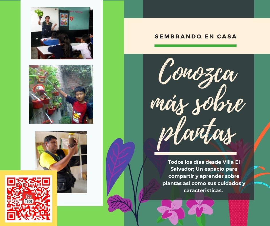 Diseño de fotografias 2